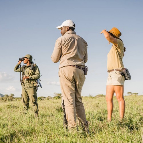 Ruaha